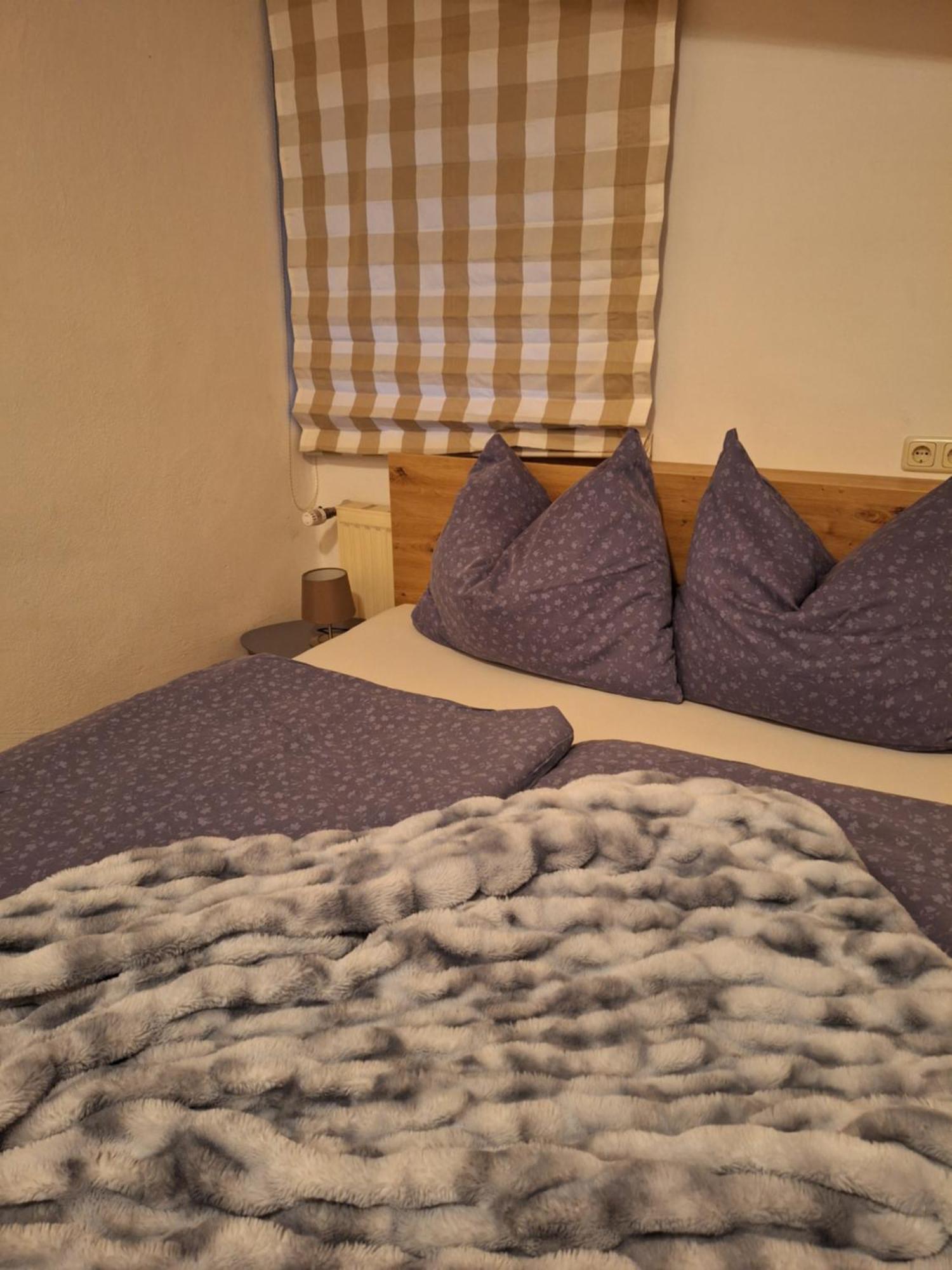 Haus Rieder Daire Pfarrwerfen Dış mekan fotoğraf