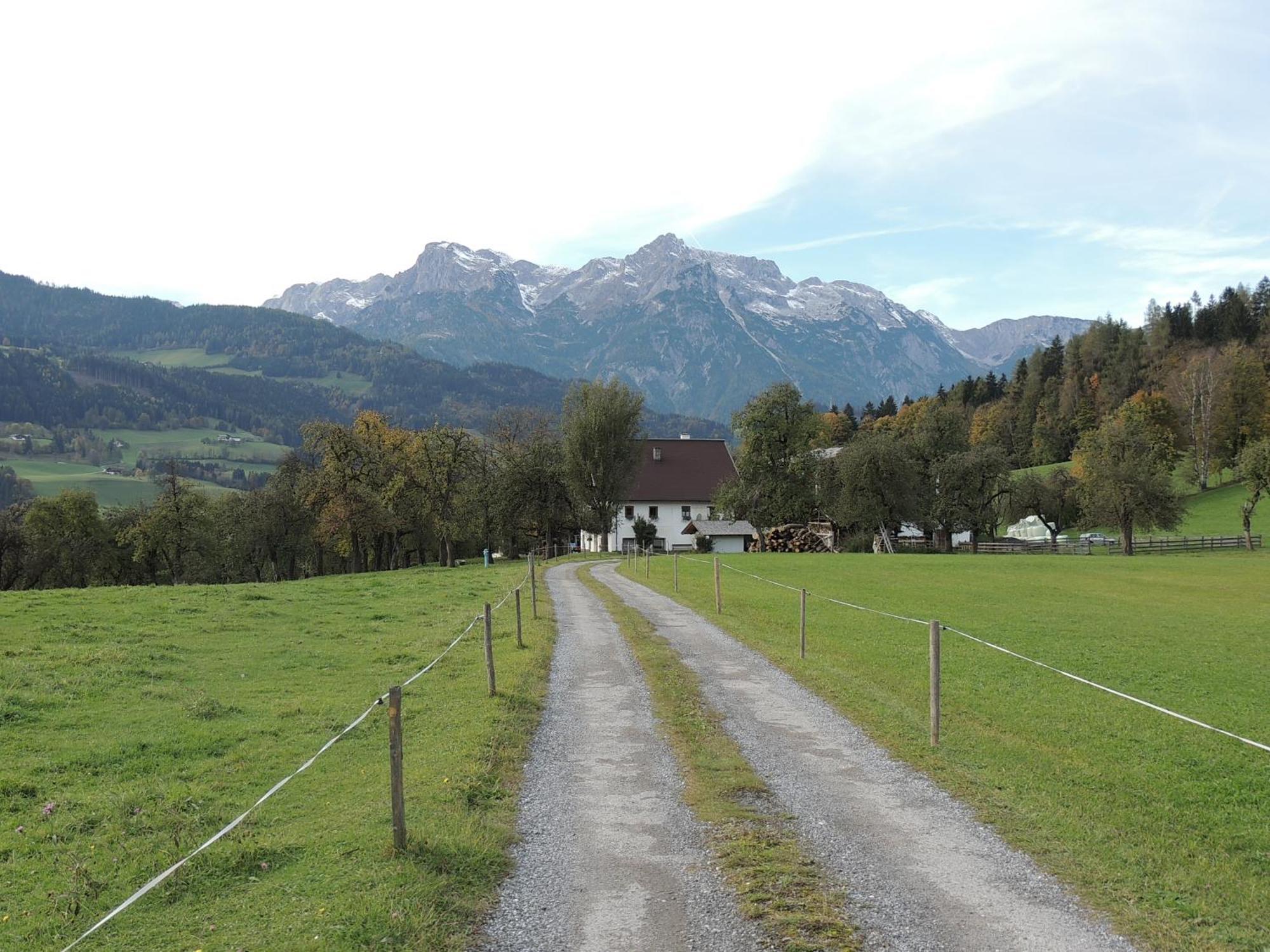 Haus Rieder Daire Pfarrwerfen Dış mekan fotoğraf