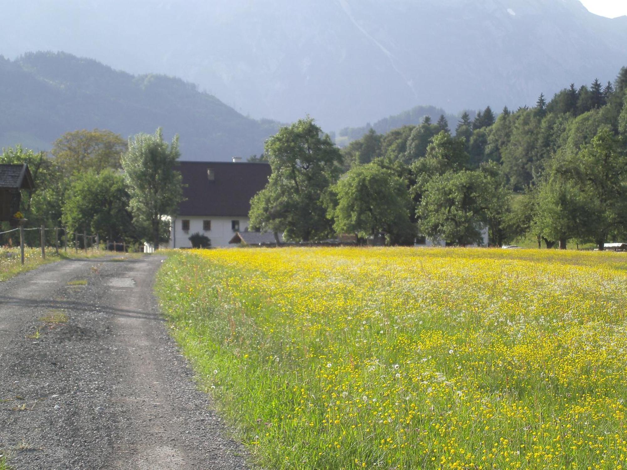 Haus Rieder Daire Pfarrwerfen Dış mekan fotoğraf