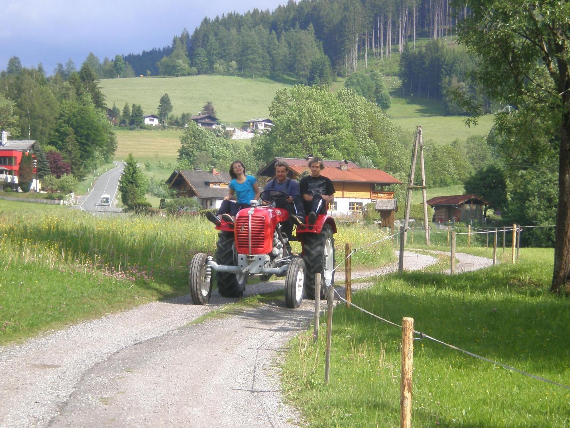 Haus Rieder Daire Pfarrwerfen Dış mekan fotoğraf